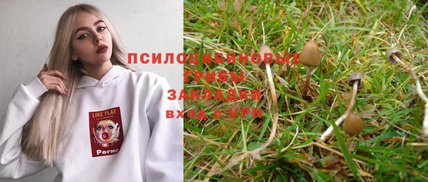 ешки Пестово